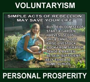 Voluntaryism