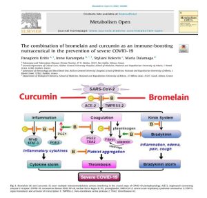 Curcumin and Bromelain