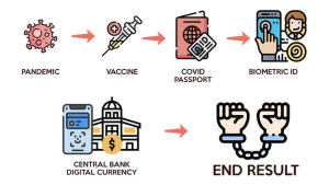 NWO Roadmap