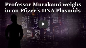 Prof. Murakami weighs in on Pfizer’s DNA Plasmids