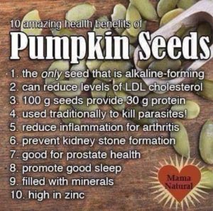 Pumpkin Seeds