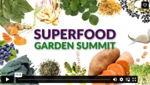 Superfood Garden Summit