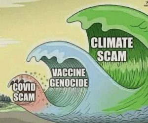 Three Wave Scam