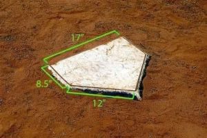 Baseball Home Plate