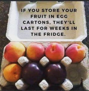 Store Your Fruit In Egg Cartons