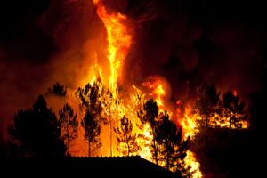 Aluminum Fueled Super Wildfire
