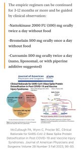 Spike Protein Detox