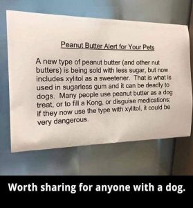 Dog Warning