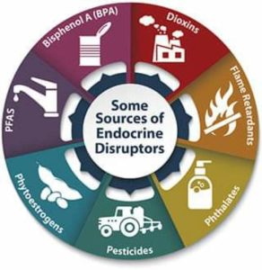 Endocrine Disruptors