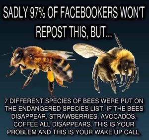 Help The Bees