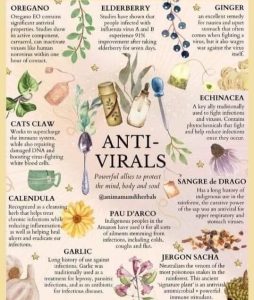 Natural Anti-Virals