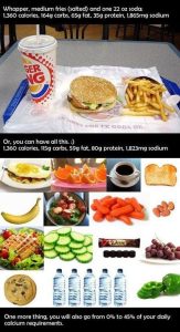 Nutrient Comparison