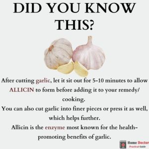 Allicin In Garlic