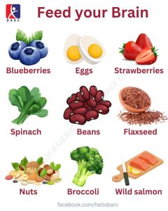 Brain Food