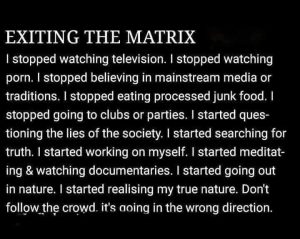 Exiting The Matrix