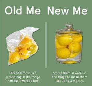 Lemon Storage