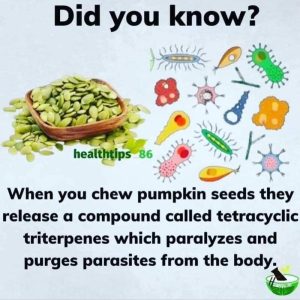 Pepitas Purge Parasites