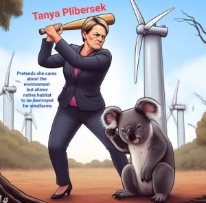 Tanya Plibersek Bashes Environment