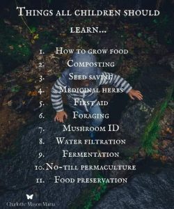 Things To Learn And Teach