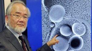 Yoshinori Ohsumi on Intermittent Fasting