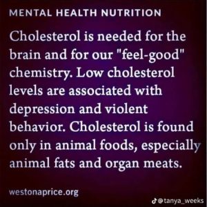 Cholesterol and Mental Health