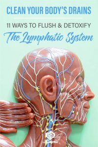 Clean Your Lymphatic System