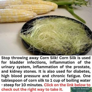 Corn Silk Uses