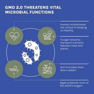 GMO 2.0 Threatens Microbial Functions