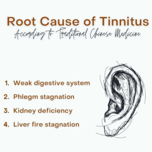 Root Cause of Tinnitus