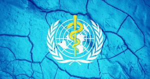 The World Health Organization pandemic treaty