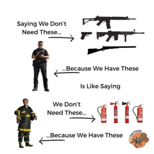 Anti-Gun Illogic