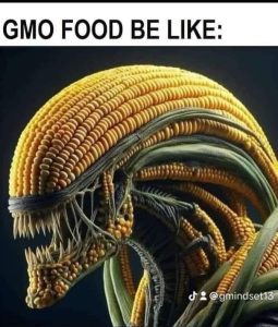 GMO Food Be Like