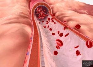 Red Blood Cells In Artery