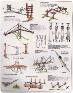 Bridge Types