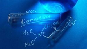 L Carnitine