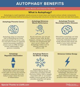 What Is Autophagy