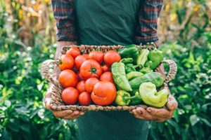 Tomatoes and Peppers