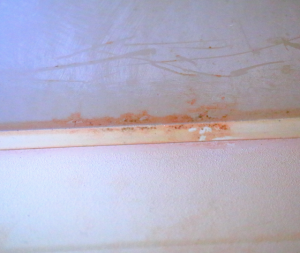 Pink Mold