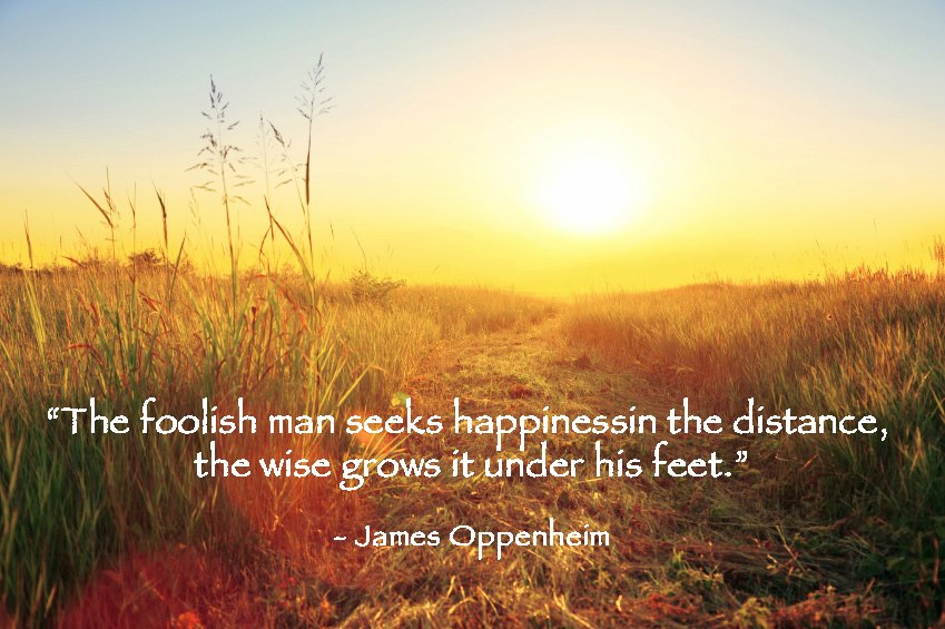 The Foolish Man Seeks Happiness In The Distance
