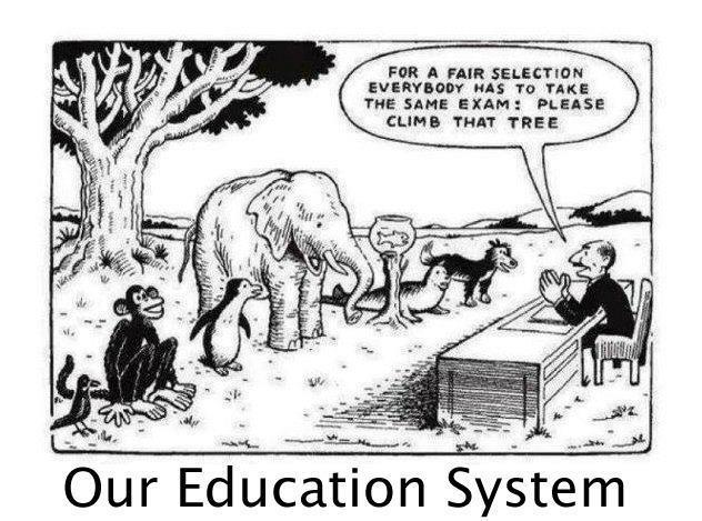 Conformist Education