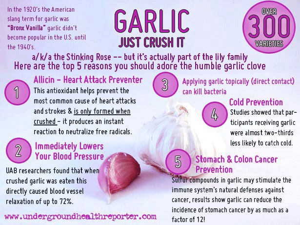 Garlic