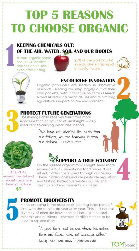 Top 5 Reasons To Choose Organic