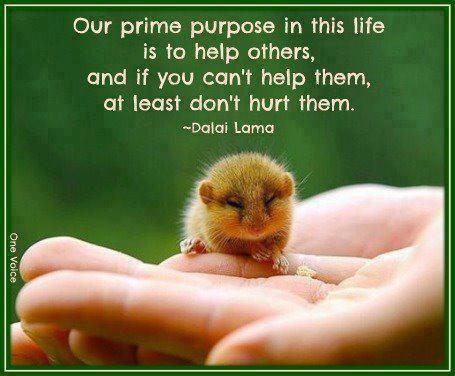Help Others