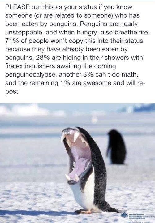 Penguin Apocalypse