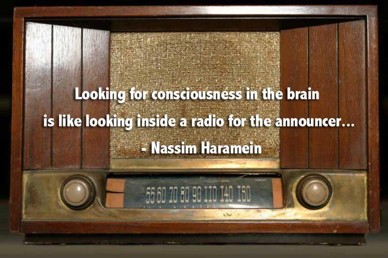 Looking In The Brain