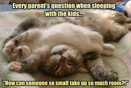 Sleeping With The Kids