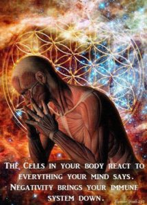 Your Cells React To Your Thoughts