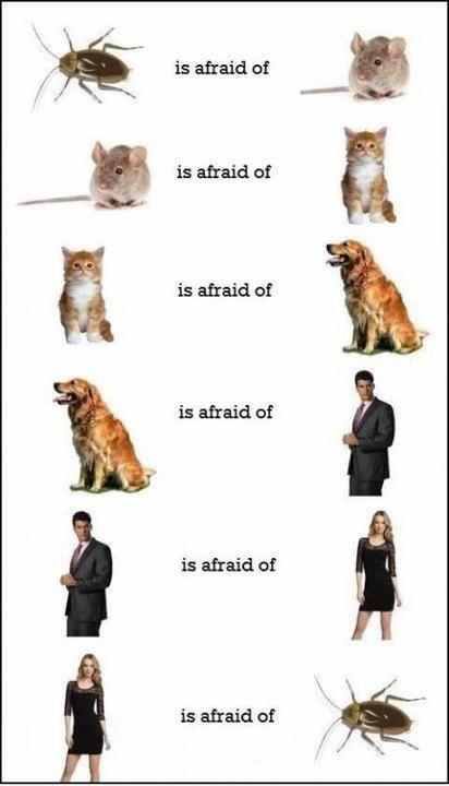...Is Afraid Of...