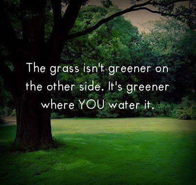 The Grass Is Greener Where You Water It