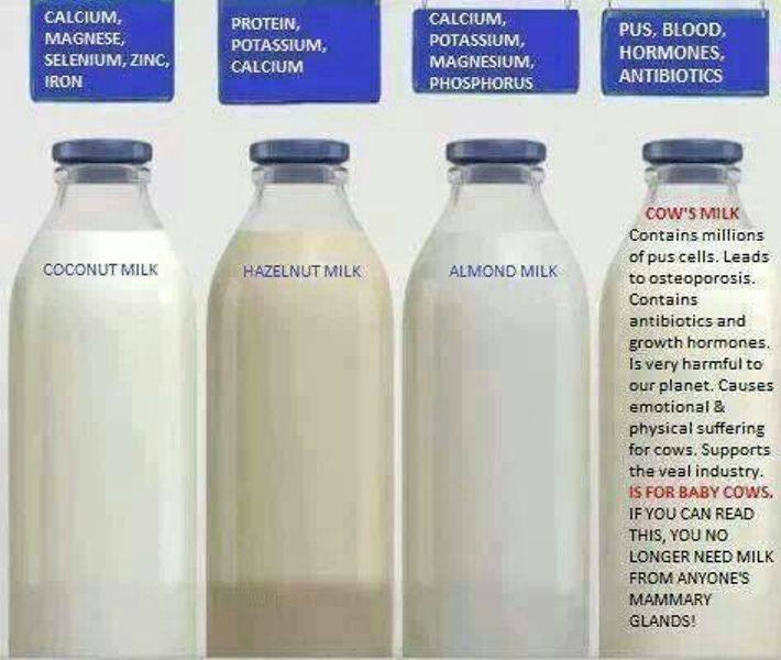 What Is In Your Pint?